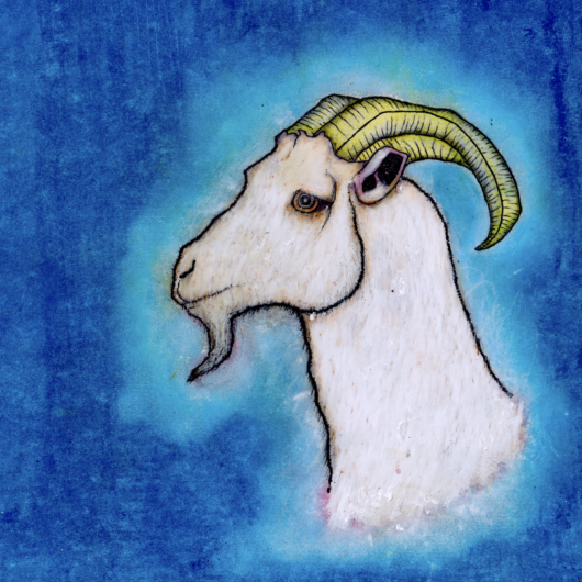 Drawing of a white goat head in left profile on a blue background