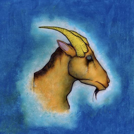 Drawing of a goat in right profile on a blue background